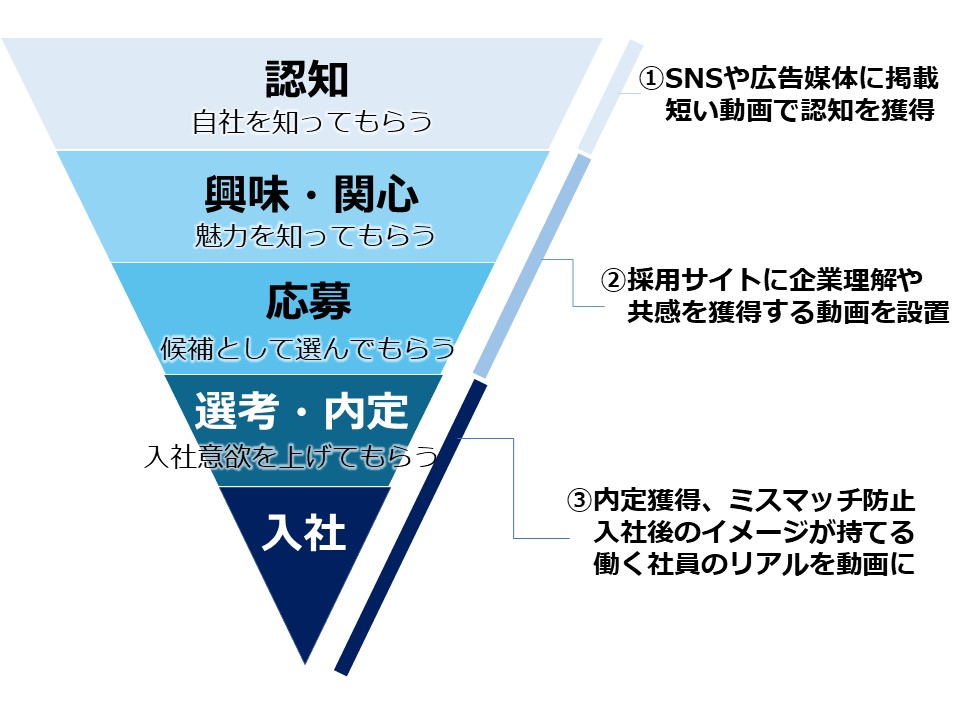 ムビハピ活用事例