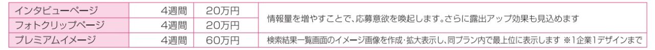 情報量アップオプション料金表