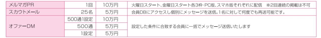 女の転職typeメール系オプション料金表